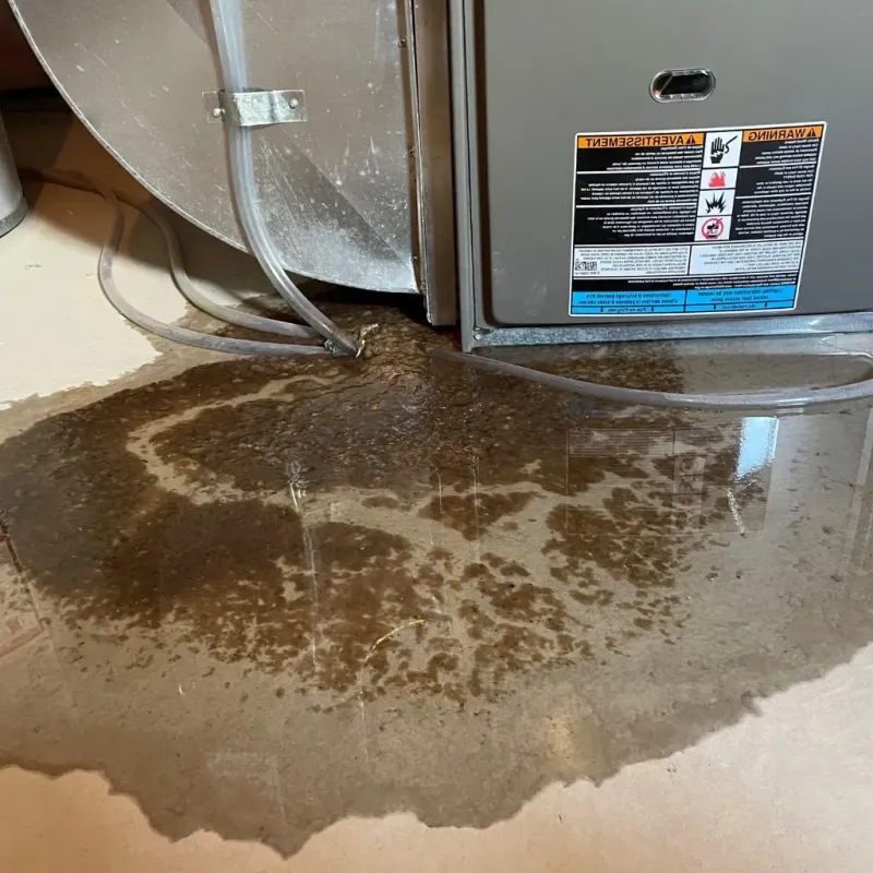 Pipe Burst and Leak Restoration in North Conway, NH